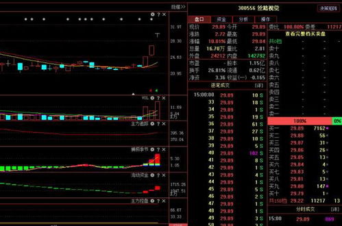 丝路视觉（300556） 主力悄然布局，计算机软硬件业务驱动下未来走势深度解析